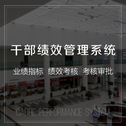 成都定制开发行业毛利率透视